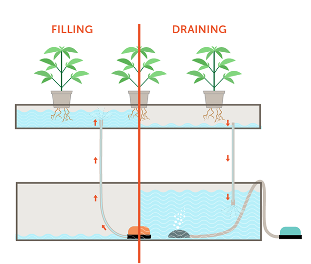 SOILESS FARMING & HYDROPONIC ENGINEERING - Hudson Bay Limited